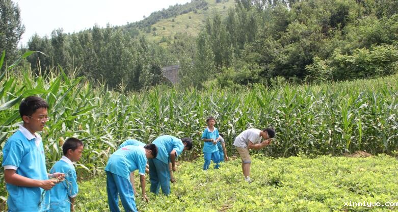 贫困山区夏令营招生的目的是什么? 贫困山区夏令营招生的目的是什么?_www.xinmiyue.com