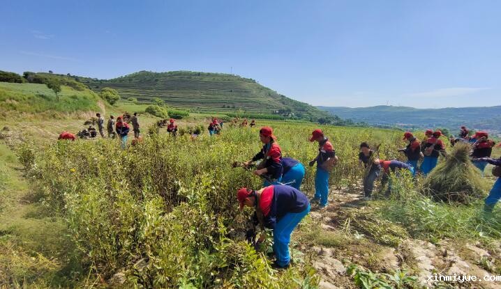 贫困山村夏令营的宣传方案怎么制作? 贫困山村夏令营的宣传方案怎么制作?_www.xinmiyue.com