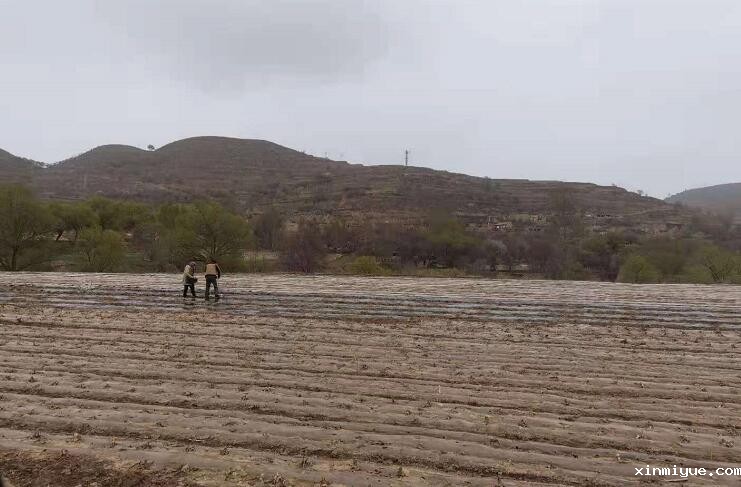 让孩子参加贫困山村夏令营的好处! 让孩子参加贫困山村夏令营的好处!_www.xinmiyue.com