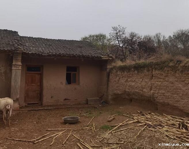 关于贫困山区公益活动有哪些? 关于贫困山区公益活动有哪些?_www.xinmiyue.com