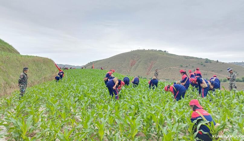 为什么越来越多的家长选择必威登录入口平台官网心理教育中心? 为什么越来越多的家长选择必威登录入口平台官网心理教育中心?_www.xinmiyue.com