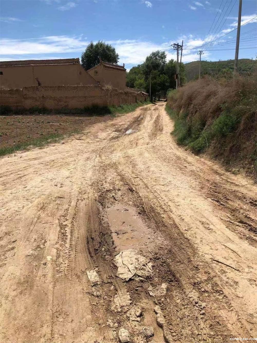 2021年必威登录入口平台官网青少年教育「成长不烦恼」吃苦夏令营第八天之剔玉米苗和修路 2021年必威登录入口平台官网青少年教育「成长不烦恼」吃苦夏令营第八天之剔玉米苗和修路_www.xinmiyue.com