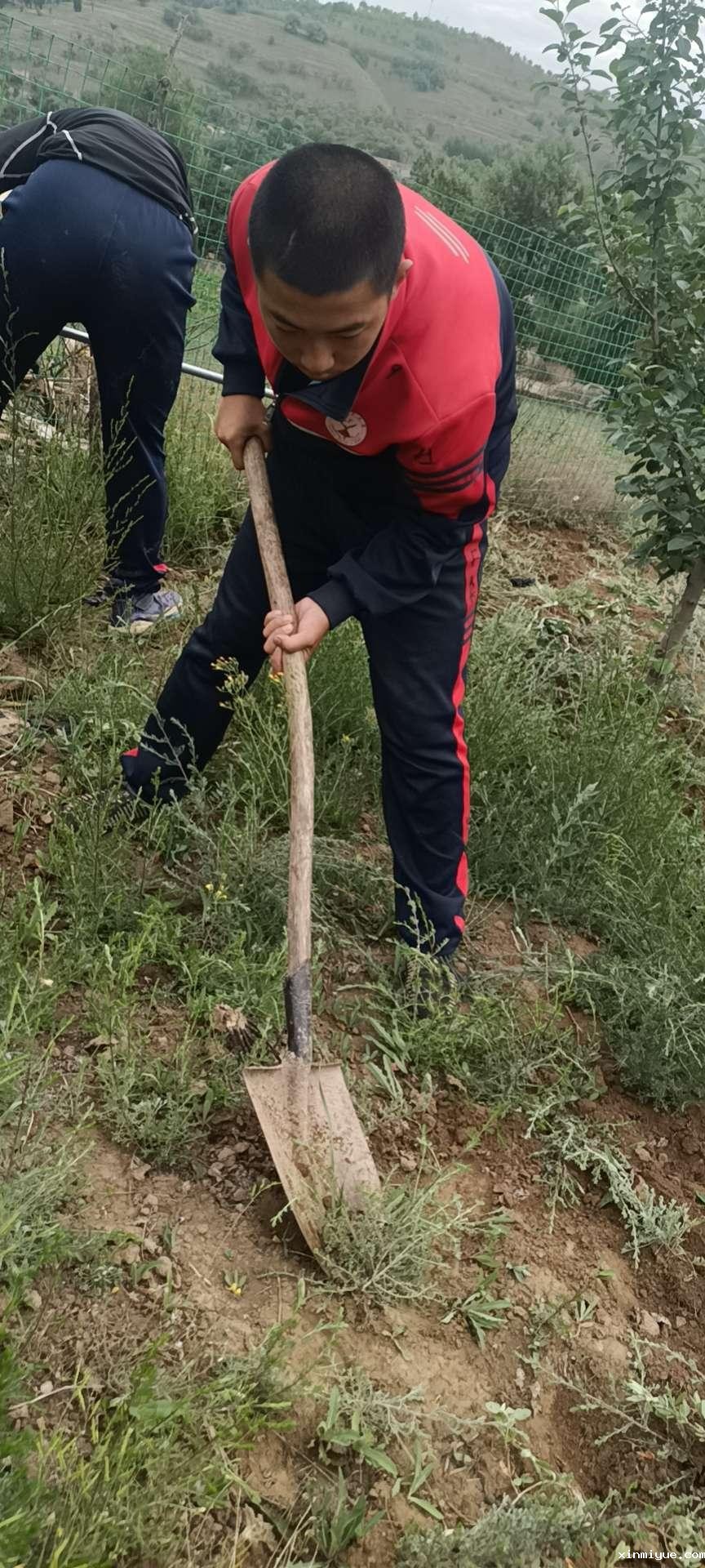 2021年必威betway中文官网「成长不烦恼」夏令营第八天之干农家活吃农家饭 2021年必威betway中文官网「成长不烦恼」夏令营第八天之干农家活吃农家饭_www.xinmiyue.com