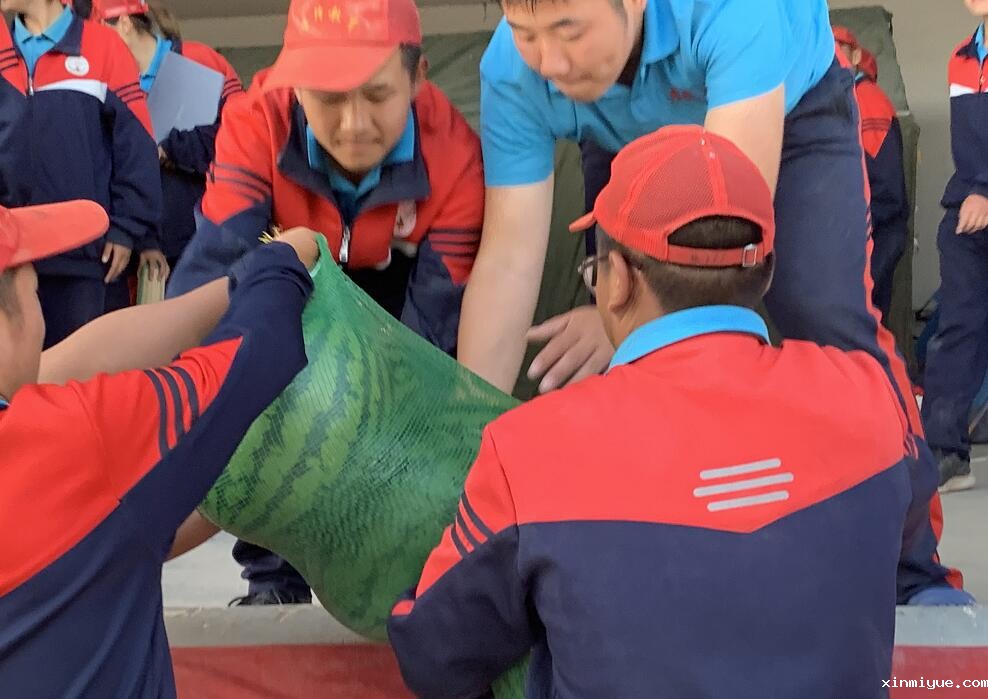 初中生夏令营一般有哪些活动? 初中生夏令营一般有哪些活动?_www.xinmiyue.com