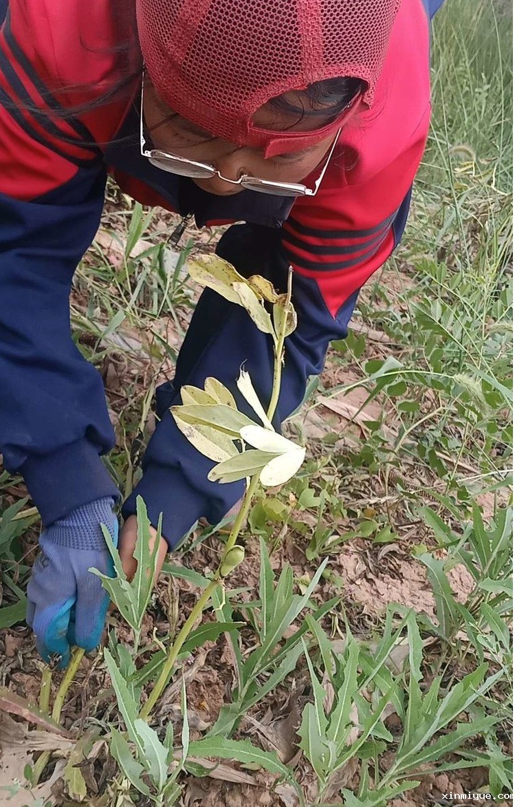 2021年必威betway中文官网夏令营第三期第17天:纸上得来终觉浅,绝知此事要躬行 2021年必威betway中文官网夏令营第三期第17天:纸上得来终觉浅,绝知此事要躬行_www.xinmiyue.com