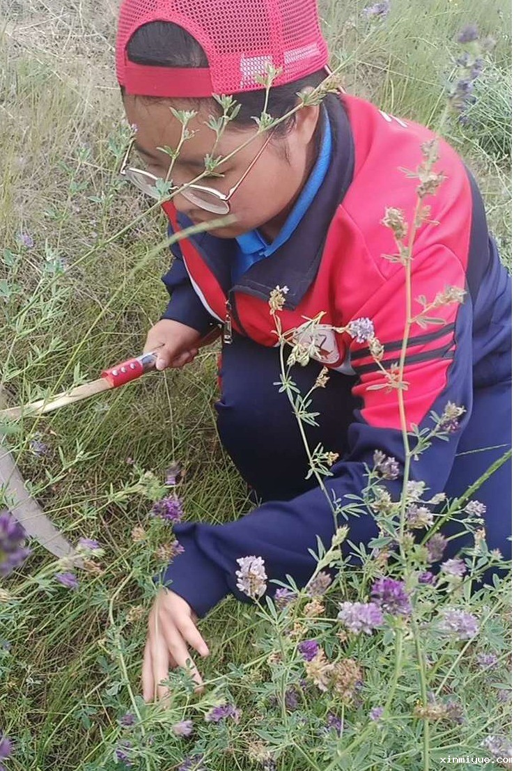 2021年必威betway中文官网夏令营第三期第二天:现在努力,未来吃咸菜有选择! 2021年必威betway中文官网夏令营第三期第二天:现在努力,未来吃咸菜有选择!_www.xinmiyue.com