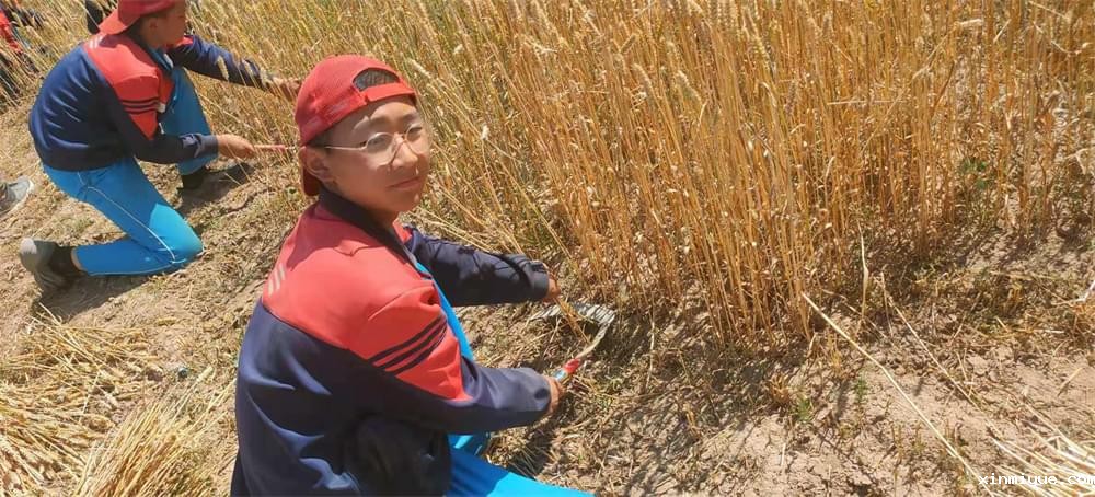 2021年青少年为何一定要参加暑期吃苦夏令营 2021年青少年为何一定要参加暑期吃苦夏令营_www.xinmiyue.com