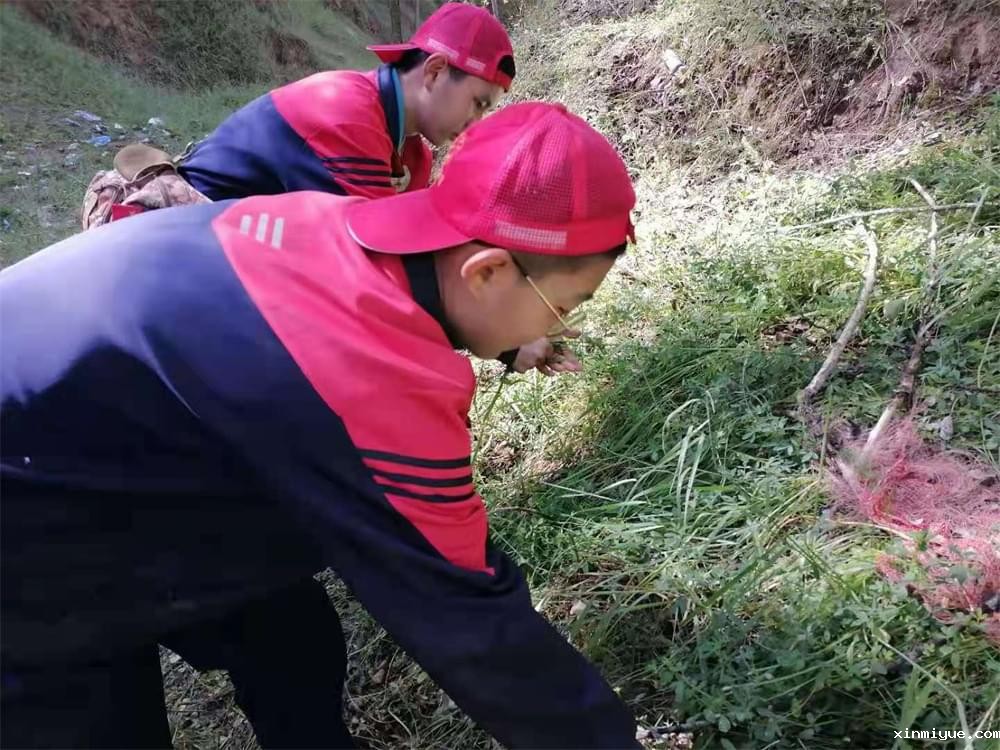 2021年必威betway中文官网暑期夏令营第二期第三天:滴水之恩,割草相报! 2021年必威betway中文官网暑期夏令营第二期第三天:滴水之恩,割草相报!_www.xinmiyue.com