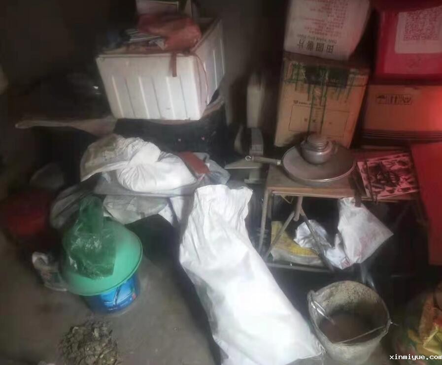 朱彤 三口之家 年入不足5000元 朱彤 三口之家 年入不足5000元_www.xinmiyue.com