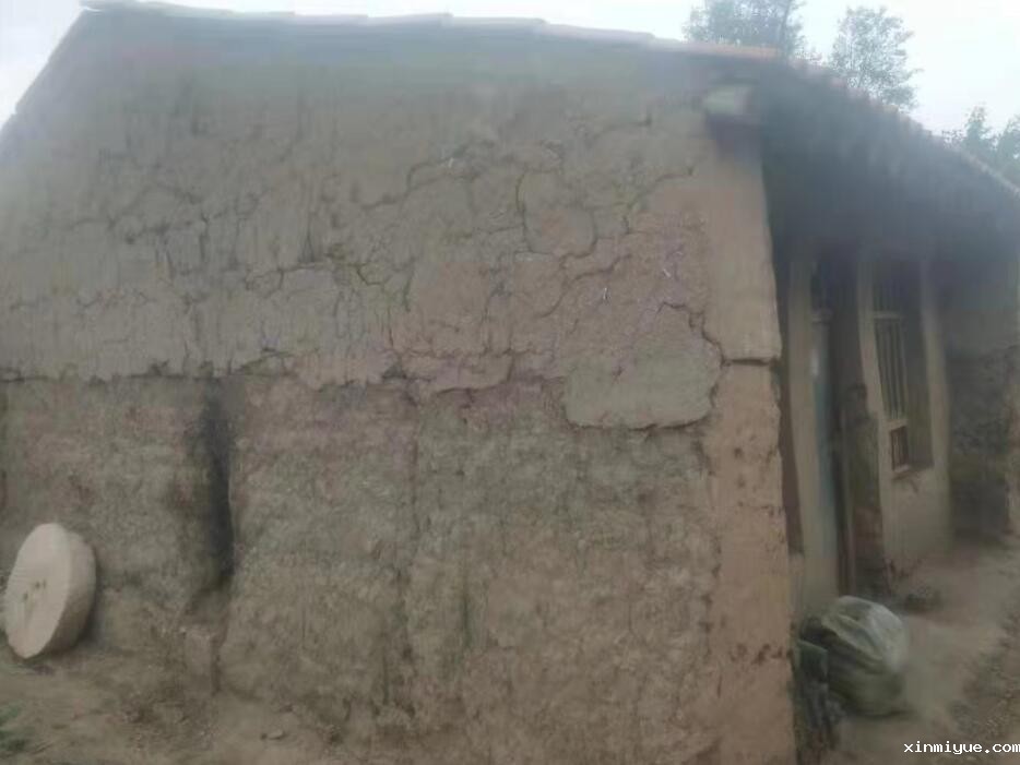 朱彤 三口之家 年入不足5000元 朱彤 三口之家 年入不足5000元_www.xinmiyue.com