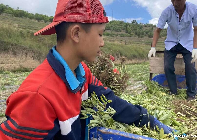 教育孩子有哪些家庭教育方式和方法? 教育孩子有哪些家庭教育方式和方法?_www.xinmiyue.com