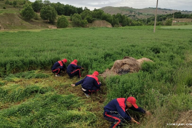 2022年让孩子体验夏令营的意义在哪里 2022年让孩子体验夏令营的意义在哪里_www.xinmiyue.com
