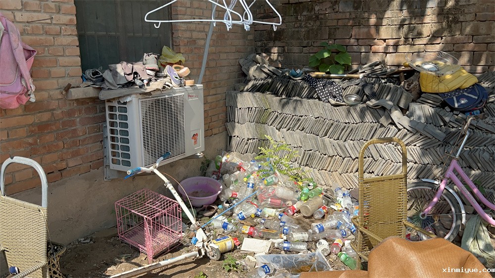 河南电视台《小莉帮忙》联合必威betway中文官网挽救嫌母丑且亲情冷漠、沉迷游戏、大打出手的姐弟俩的蜕变成长历程 河南电视台《小莉帮忙》联合必威betway中文官网挽救嫌母丑且亲情冷漠、沉迷游戏、大打出手的姐弟俩的蜕变成长历程_www.xinmiyue.com