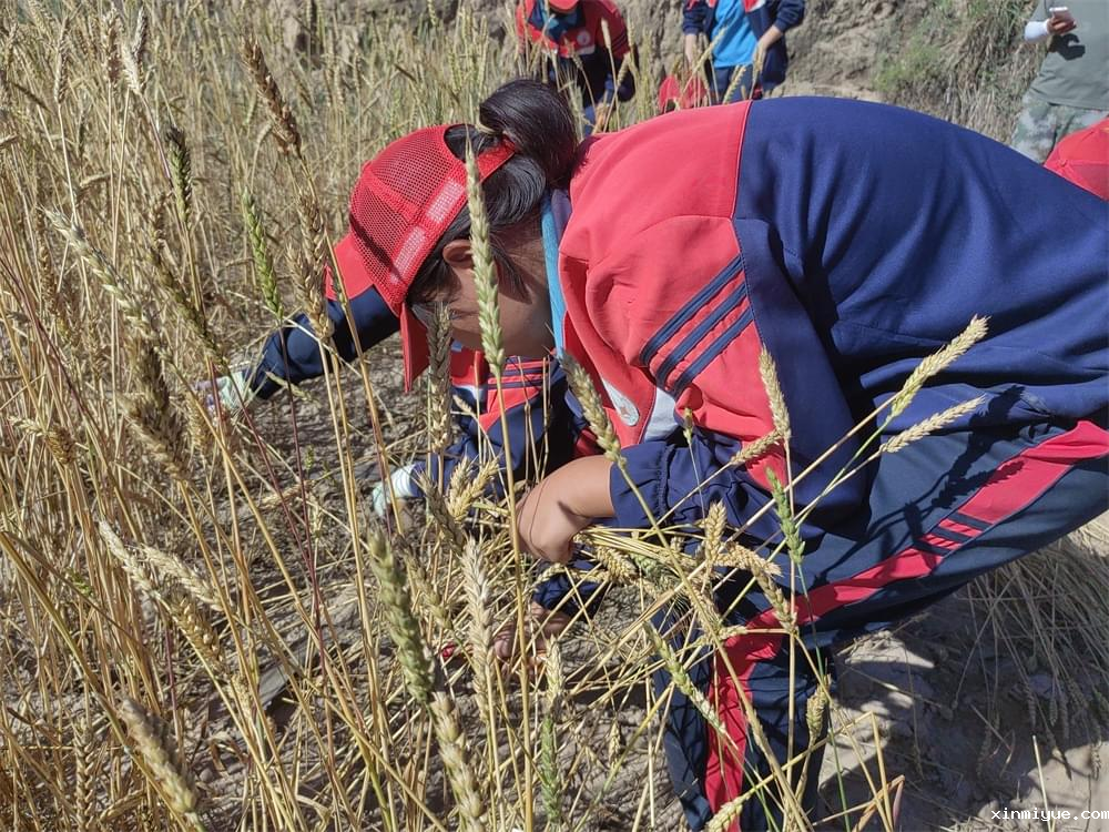这些孩子将来最没有出息,容易被社会淘汰,看看你家孩子有没有! 这些孩子将来最没有出息,容易被社会淘汰,看看你家孩子有没有!_www.xinmiyue.com