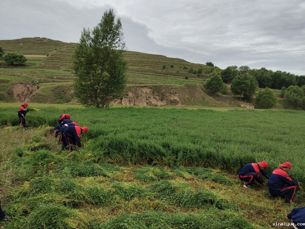 以前的孩子PK现在的孩子,你还觉得现在孩子很幸福吗? 以前的孩子PK现在的孩子,你还觉得现在孩子很幸福吗?_www.xinmiyue.com