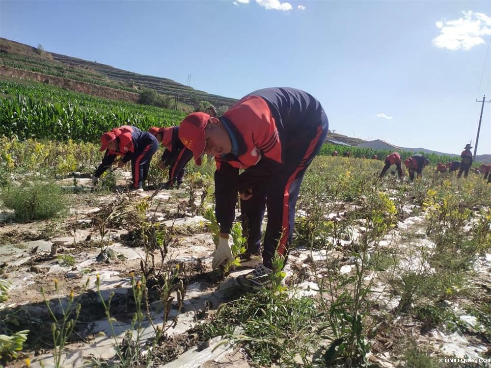 城市娃进山磨砺,暑期劳动教育让孩子体验成长的魅力 城市娃进山磨砺,暑期劳动教育让孩子体验成长的魅力_www.xinmiyue.com
