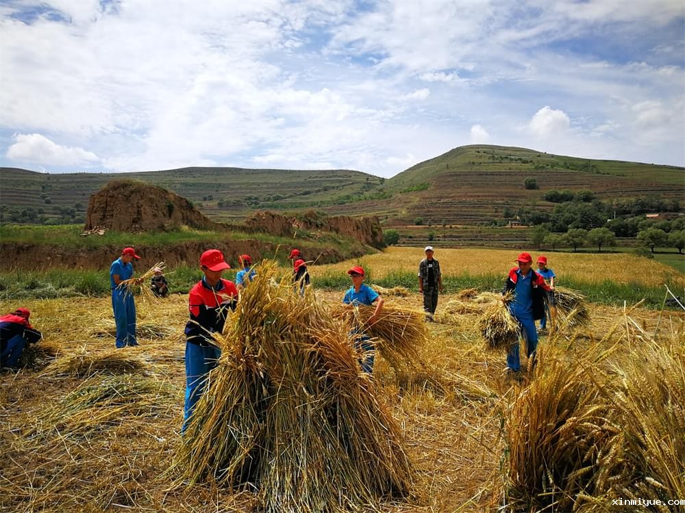 山村夏令营:塑造青少年吃苦耐劳精神,助力未来成长 山村夏令营:塑造青少年吃苦耐劳精神,助力未来成长_www.xinmiyue.com