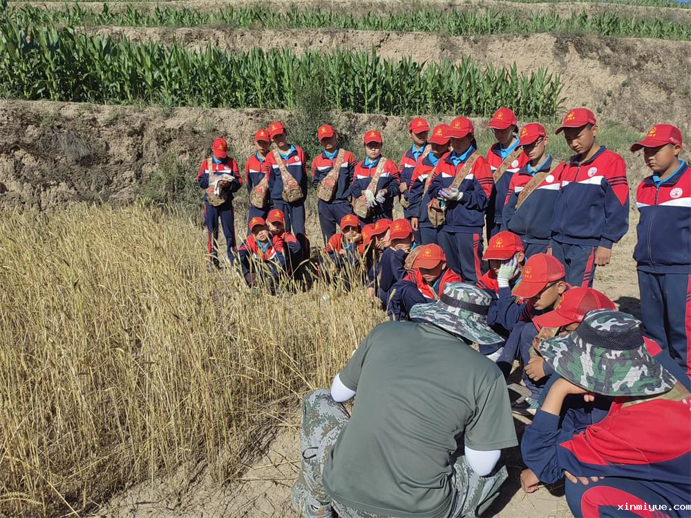 揭秘“叛逆”真相:读懂孩子心声,共筑和谐亲子桥梁 揭秘“叛逆”真相:读懂孩子心声,共筑和谐亲子桥梁_www.xinmiyue.com