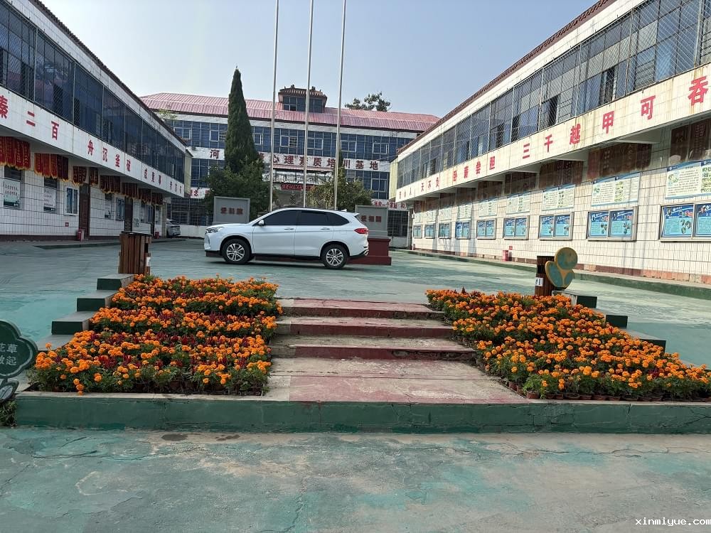 岁岁重阳,情暖金秋 —— 共赏重阳佳节之美 岁岁重阳,情暖金秋 —— 共赏重阳佳节之美_www.xinmiyue.com