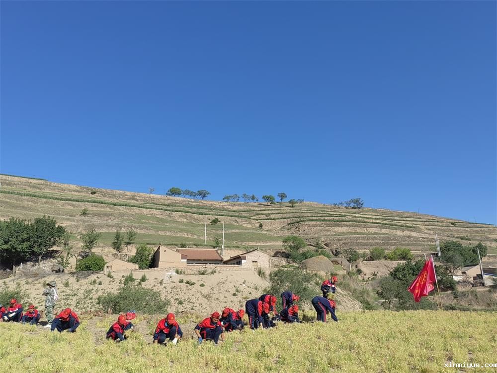 贫困山村夏令营:一场关于成长与蜕变的奇妙之旅 贫困山村夏令营:一场关于成长与蜕变的奇妙之旅_www.xinmiyue.com