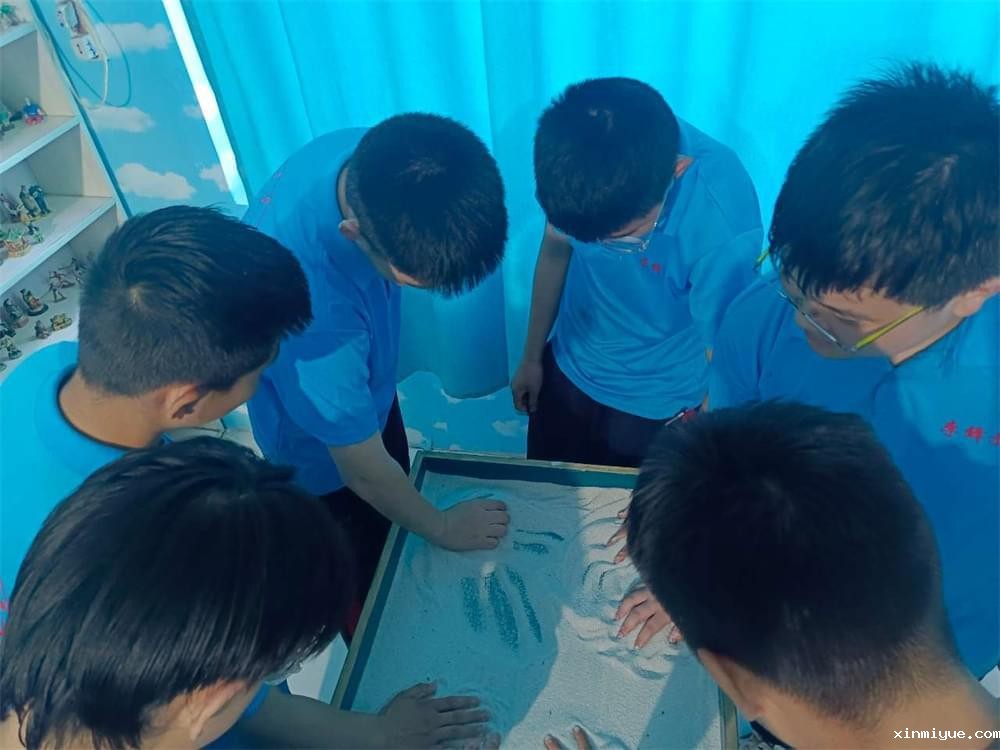 家庭亲子关系与迷途少年:问题根源与解决之道 家庭亲子关系与迷途少年:问题根源与解决之道_www.xinmiyue.com