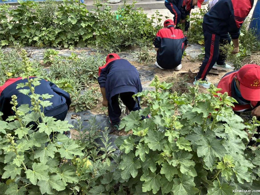 贫困山村夏令营:一次让孩子学会珍惜的旅程 贫困山村夏令营:一次让孩子学会珍惜的旅程_www.xinmiyue.com
