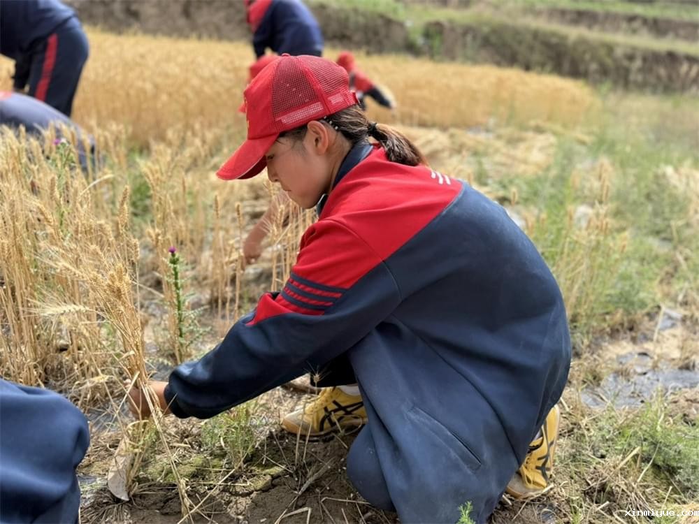 山村夏令营:在劳动中感悟成长,珍惜每一粒粮食 山村夏令营:在劳动中感悟成长,珍惜每一粒粮食_www.xinmiyue.com