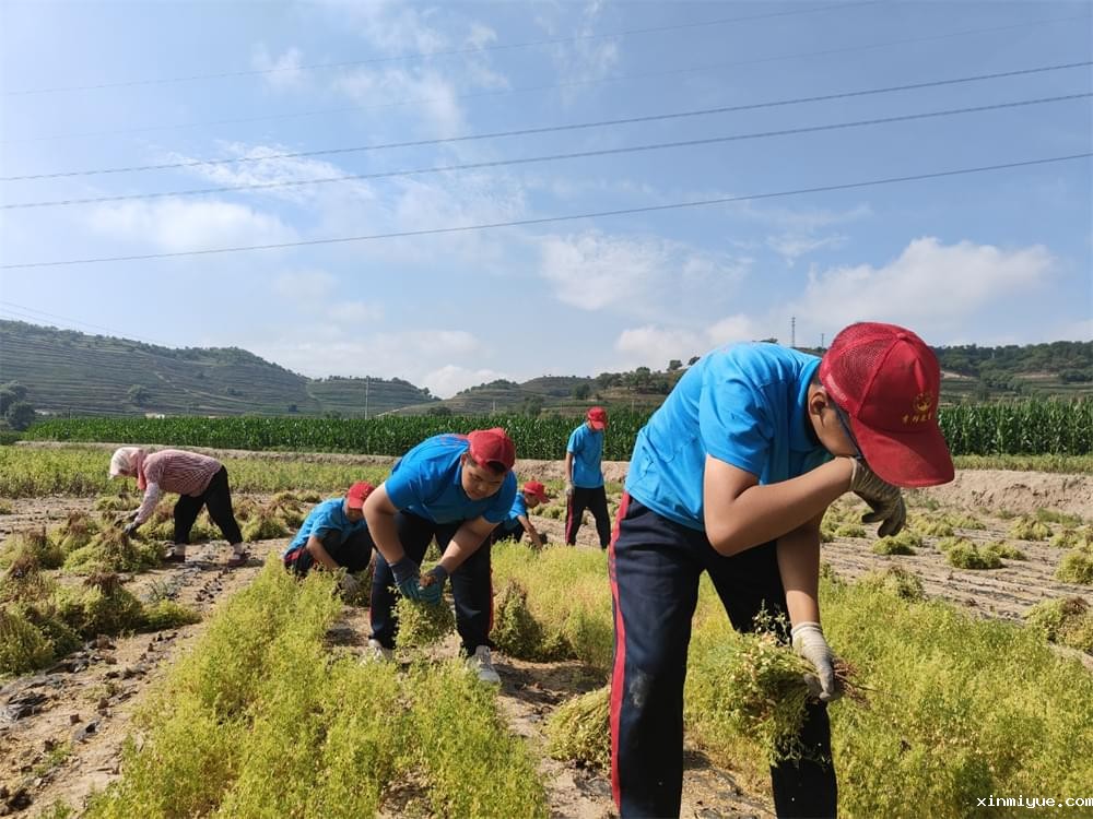 别再误解!山村夏令营,孩子劳动与心灵的双重丰收! 别再误解!山村夏令营,孩子劳动与心灵的双重丰收!_www.xinmiyue.com