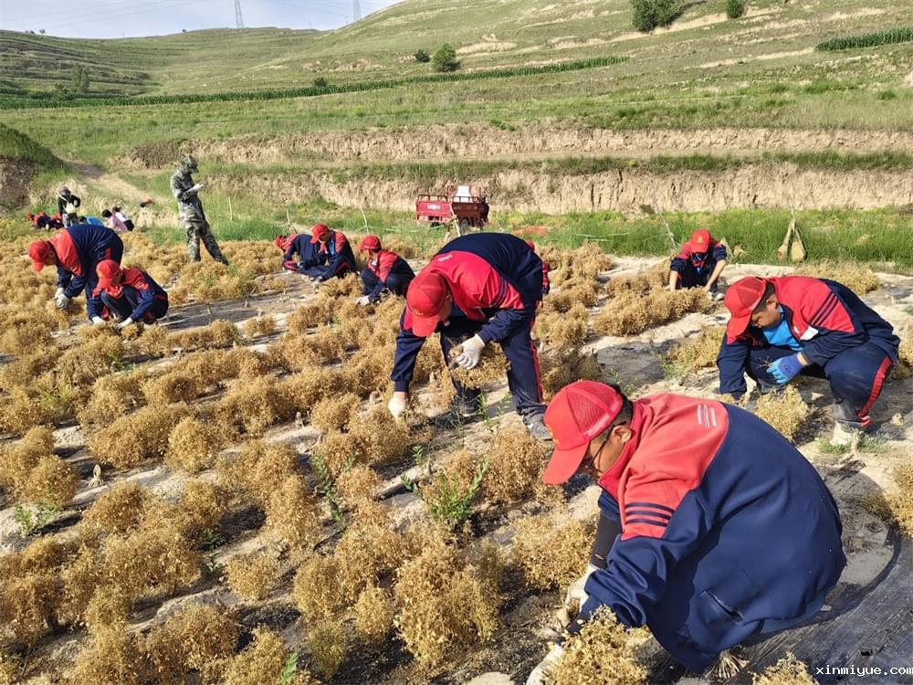 贫困山村磨炼夏令营:一次心灵的触碰与成长的火花 贫困山村磨炼夏令营:一次心灵的触碰与成长的火花_www.xinmiyue.com