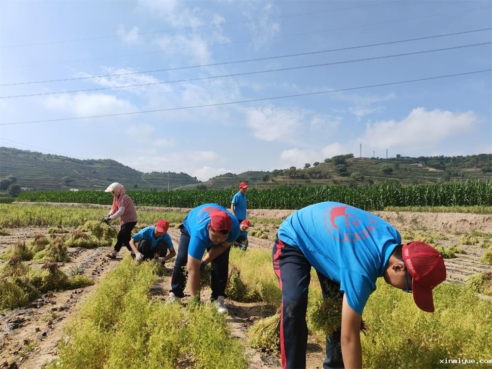 暑期磨炼山村夏令营:叛逆少年的心灵救赎之旅 暑期磨炼山村夏令营:叛逆少年的心灵救赎之旅_www.xinmiyue.com