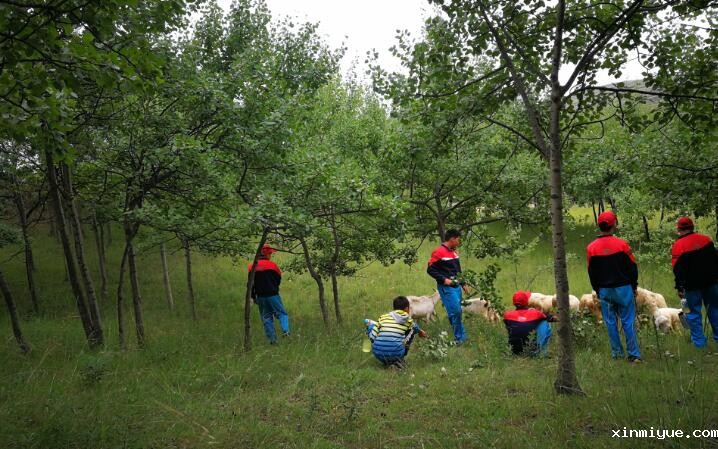 让孩子参加贫困山村夏令营的目的是什么？_www.xinmiyue.com