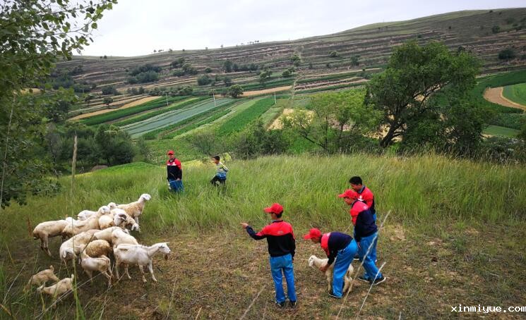 让孩子参加贫困山村夏令营的目的是什么？_www.xinmiyue.com