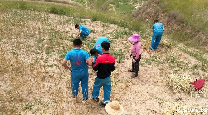 让孩子参加贫困山村夏令营的目的是什么？_www.xinmiyue.com