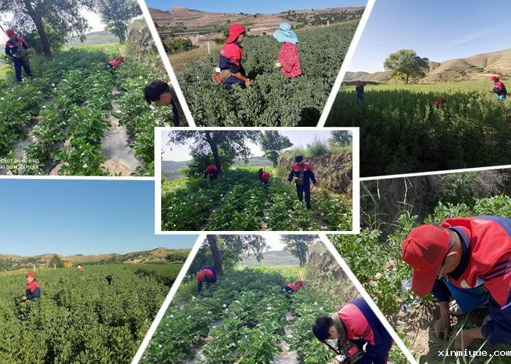 什么时候报夏令营有优惠呢？_www.xinmiyue.com