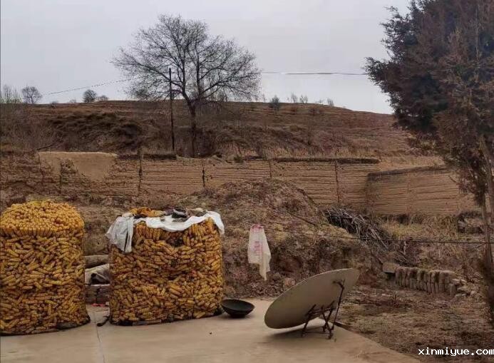 为什么开展必威登录入口平台官网公益这个活动呢？_www.xinmiyue.com