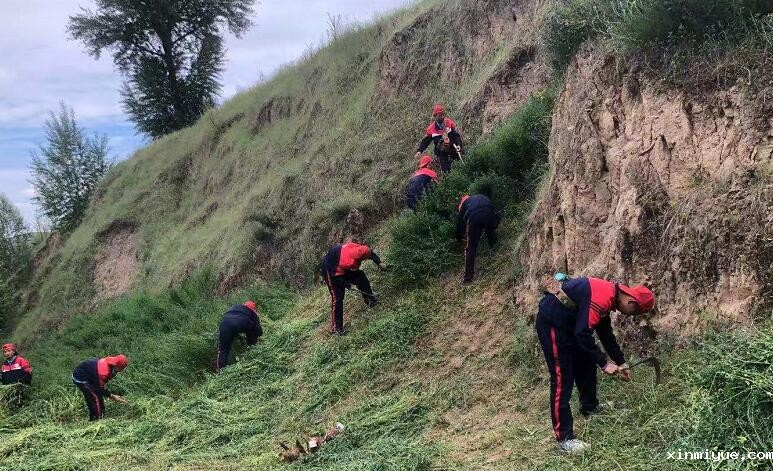 暑期夏令营能让孩子变得独立吗？_www.xinmiyue.com