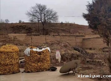 为什么开展必威登录入口平台官网公益这个活动呢？