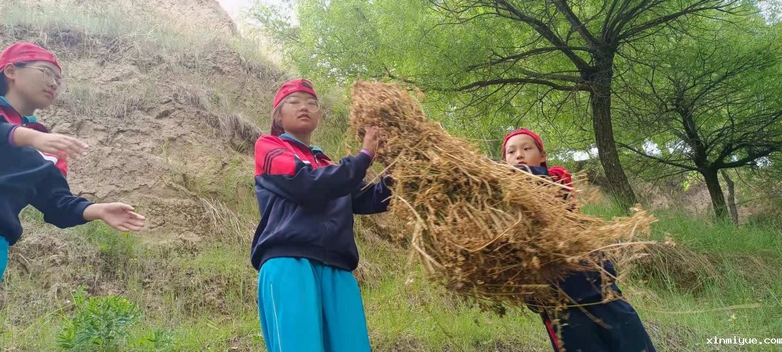 2021年必威betway中文官网暑期夏令营第二期第七天：不读书，搬砖的资格都没有，拿啥养自己！_www.xinmiyue.com
