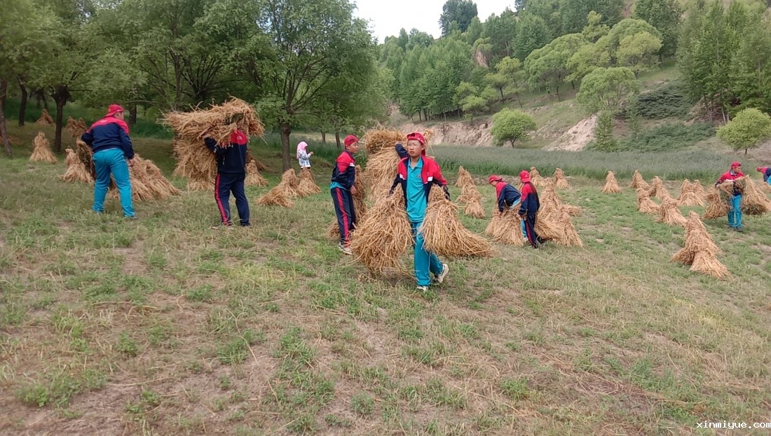 2021年必威betway中文官网暑期夏令营第二期第七天：不读书，搬砖的资格都没有，拿啥养自己！_www.xinmiyue.com