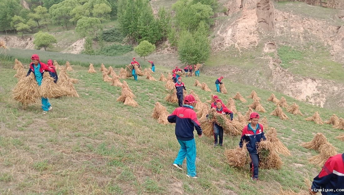 2021年必威betway中文官网暑期夏令营第二期第七天：不读书，搬砖的资格都没有，拿啥养自己！_www.xinmiyue.com