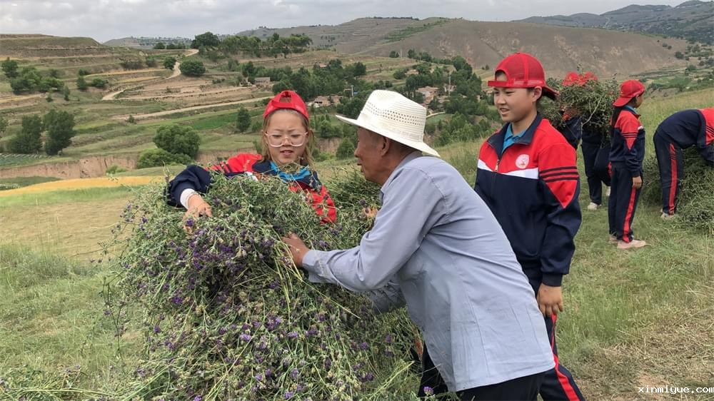 2021年必威betway中文官网夏令营第二期第十二天：下地干活做铲屎官比上学轻松吗？_www.xinmiyue.com