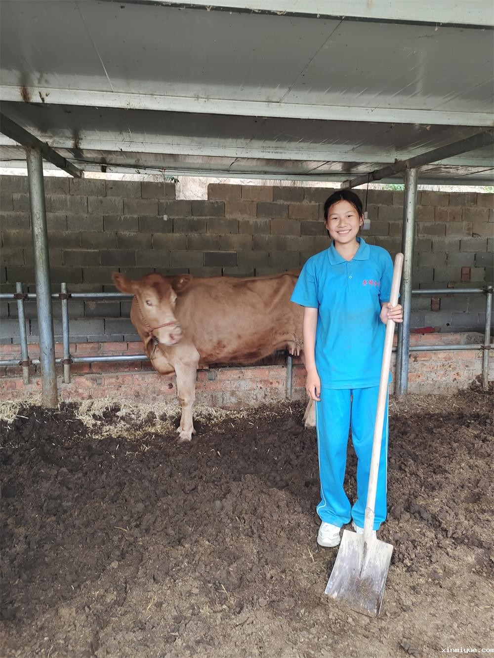 2021年必威betway中文官网夏令营第二期第十二天：下地干活做铲屎官比上学轻松吗？_www.xinmiyue.com