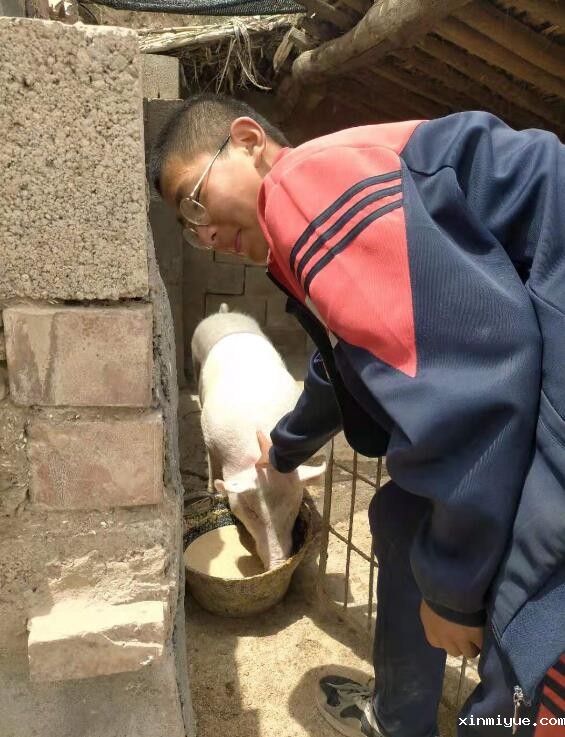 在简陋的学习环境贫困的家庭，山村的孩子怎样坚持学习？_www.xinmiyue.com