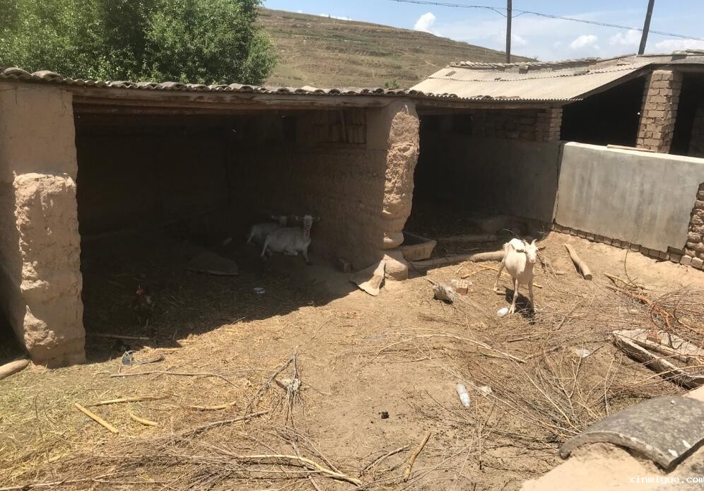 入住贫困家庭，孩子生活在贫困山村怎么保持开朗乐观，勤奋好学？_www.xinmiyue.com