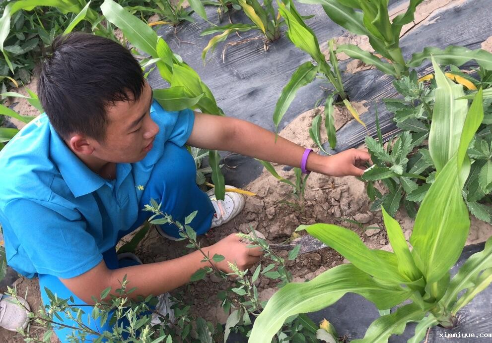 入住贫困家庭，孩子生活在贫困山村怎么保持开朗乐观，勤奋好学？_www.xinmiyue.com