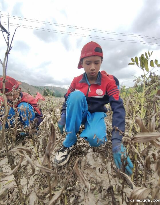 军事夏令营对孩子有帮助吗？_www.xinmiyue.com