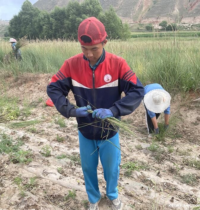 军事吃苦夏令营会给孩子带来哪些变化？_www.xinmiyue.com