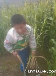 郑家源 六口之家 欠债十几万元