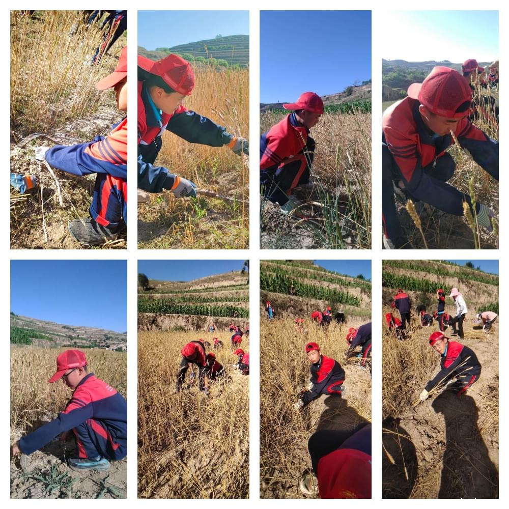 修复亲子关系,才能真正改变孩子的成长问题_www.xinmiyue.com