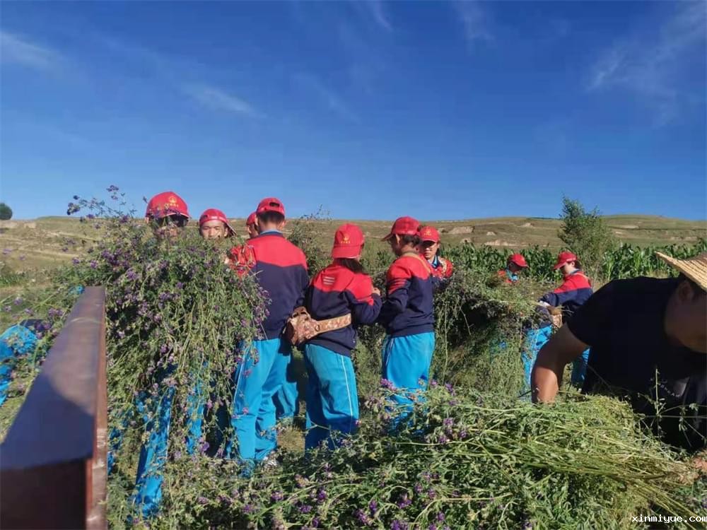 2023年必威betway中文官网暑期夏令营招生了 - 让孩子吃点苦真的没坏处！_www.xinmiyue.com